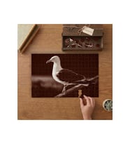 Martı - Kuş - Hayvan Tasarımı 240 parça Ahşap Puzzle Ahşap Kutuda MP05414