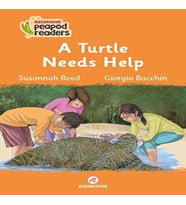 A Turtle Needs Help