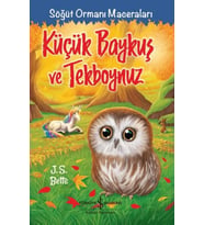 Küçük Baykuş ve Tekboynuz - Söğüt Ormanı Maceraları