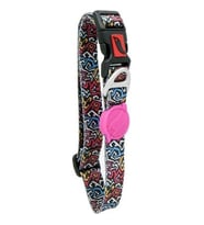 Tailpetz Cat Color Easy & Safety Lock Graffiti Ayarlanır Kedi Boyun Tasması