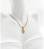 Fıora G Harfi  Çelik Zirkon Taşlı Harf Kolye Sade Şık Gold Ayarlanabilir Zincir Sevgiliye Arkadaşa Eşe Anneye Hediyelik