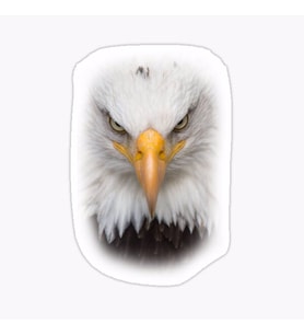 Araba için Kartal Oto Sticker Yapıştırması Etiket  17CM e7