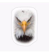 Araba için Kartal Oto Sticker Yapıştırması Etiket  17CM e7