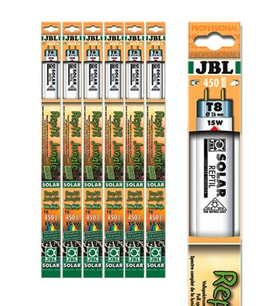 Jbl Solar Reptıl Jungle T8 36W-1200 Mm 9000K