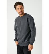 Erkek Antrasit Basic Bisiklet Yaka Regular Fit Normal Kesim 2 İplik Sweatshirt