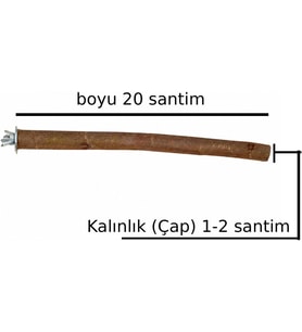Doğal Ağaç Papağan Kuş Tüneği Tünek Boy 20 Santim Çap 1-2 Santim