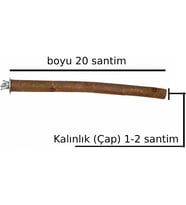 Doğal Ağaç Papağan Kuş Tüneği Tünek Boy 20 Santim Çap 1-2 Santim