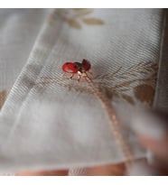 14k Altın Uğur Böceği Figürlü Kolye