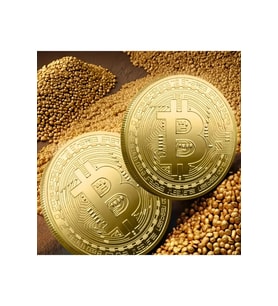 Bitcoin Altın Kaplama Koleksiyonluk Madeni Coin Anma Parası Benzersiz Hediyelik