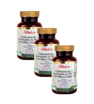 Balen Glukozamin Kondroitin MSM+BOSWELİA 1200 mg 120 Tab. 3 Adet