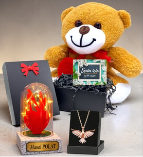Kişiye Özel Kalpli Peluş Ayıcıklı Süper Hediye Seti & Led Işıklı Fanuslu (Model 7)