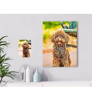 BK Gift Kişiye Özel Tam Boy Köpek Karikatürlü Kanvas Tablo 30x50cm-1