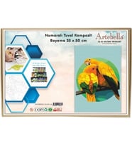Artebella 35x50 Numaralı Kompozit Tuval Boyama papağan ANT00010
