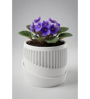 MYCRAFT3D Minimal Çizgili Altı Delikli Saksı Dekoratif Çiçeklik Alt Tablalı Modern Tasarım Saksı 10x15cm
