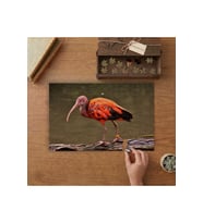 Kızıl Aynak Tasarımı 240 parça Ahşap Puzzle Ahşap Kutuda MP05437