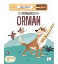 Suyla Rengarenk Boyama - Orman (Sihirli Fırçasıyla)
