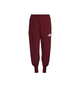 adidas Turkiye P Pnt W Türkiye Kadın Antrenman Eşofman Altı JH0785 Kırmızı