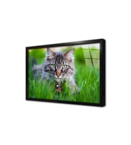 Kedi Çerçeveli Cam Tablo