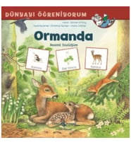 Dünyayı Öğreniyorum Ormanda Resimli Sözlüğüm