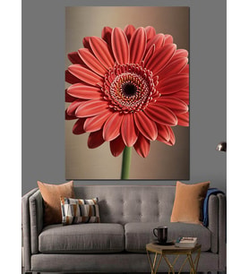 Kırmızı Gerbera Çiçek Resmi Dekoratif Kanvas - Mdf Ahşap Tablo