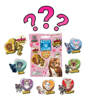 Cool Things Kitty Club Gold Edition - 3D Sürpriz Figür Paketi