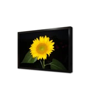 Ayçiçeği Çerçeveli Mdf Tablo