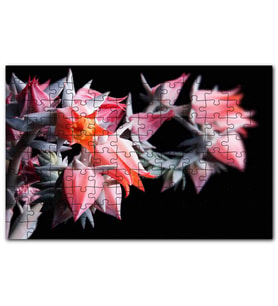Cakapuzzle Kırmızı Bardak Çiçekleri Karanlık Arkaplan Puzzle Yapboz MDF (Ahşap) (120 Parça)