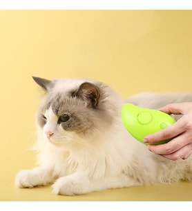 Buharlı Kedi Tarağı