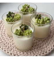 Doğal Sukulent Tasarımlı El Yapımı Soya Mum – Dekoratif Cam Bardakta Şık Set (4’lü) (Yeşil-Krem)