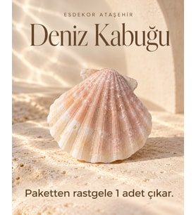 Yelpaze Formlu Dekoratif Deniz Kabuğu – 1 Adet