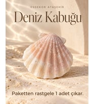 Yelpaze Formlu Dekoratif Deniz Kabuğu – 1 Adet