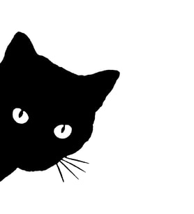 Kedi Sticker 17x17 Cm Siyah