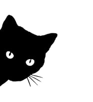 Kedi Sticker 17x17 Cm Siyah