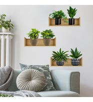 Raflı Bitki Tasarımlı Yapışkanlı Sticker 20*30 cm 3lü Set (5680)
