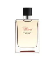 Terre d'Hermès, Eau de Parfum Intense 100ML Erkek Parfüm