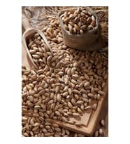 Antep Fıstığı Ana Çıtlak (250 Gr)