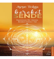 Bereket Sende