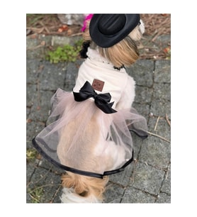 Köpek tütü elbise fiyonk detaylı krem pudra siyah