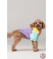Köpek Kıyafeti, Köpek Sweatshirt, Positive Vibes Küçük Irk Köpek Elbisesi (Lila)