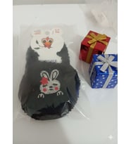 Peluş Polar Ev Patik (Siyah)