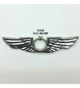 Pilot Brövesi