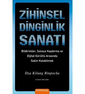 Zihinsel Dinginlik Sanatı