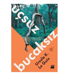 Uçsuz Bucaksız