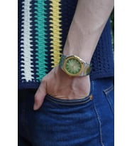 Ferro Quartz Çelik Altın/Gri Yeşil Kadran 41 mm Erkek Kol Saati
