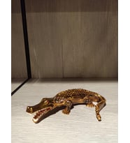 Swarovski Taşlı Timsah Mücevherlik / Dekoratif Biblo (Beyaz)