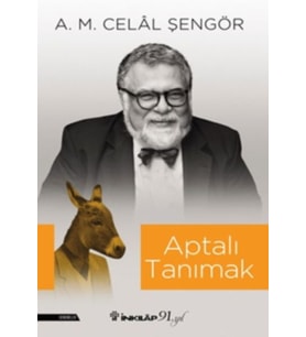 Aptalı Tanımak