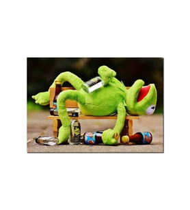 Ahşap Tablokurbağa Kermit Bankta Sızmış (25x35 Cm Boyut)