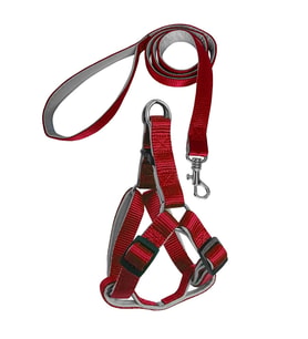 Gezdirme Kayışlı Dokuma Köpek Göğüs Tasma Seti 40*60-110 cm Kırmızı