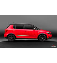 Skoda Fabia Kapı Koruma Çıtası Krom 2014-2020