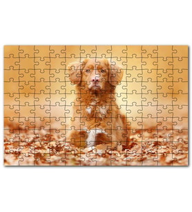 Cakapuzzle Sonbahar Yaprakları Üzerindeki Köpek Puzzle Yapboz MDF (Ahşap) (120 Parça)